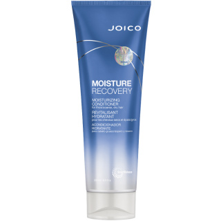 JOICO MOISTURE RECOVERY Conditioner Odżywka nawilżająca 250ml