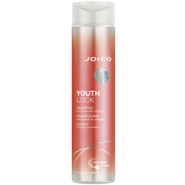 JOICO YOUTHLOCK Shampoo Szampon do włosów dojrzałych 300ml