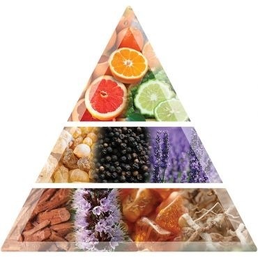 Balmain Homme Hair Perfume Perfumy do włosów Balmain Homme 100 ml