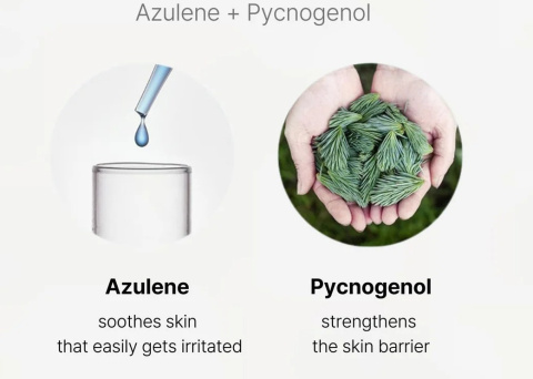 CELL FUSION C AQUAPORIN CREAM Krem silnie nawilżający 60ml CELL FUSION C AQUAPORIN CREAM Krem silnie nawilżający 60ml