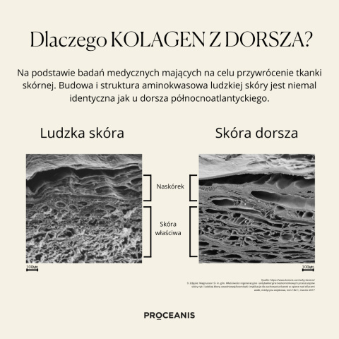 PROCEANIS Collagen Drink Day & Night 700 ml – Kompleksowa pielęgnacja skóry 24/7 PROCEANIS Collagen Drink Day & Night 700 ml – Kompleksowa pielęgnacja skóry 24/7