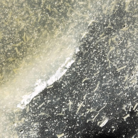 Omorovicza Gentle Buffing Gelee Delikatny żel eksfoliujący 150 ml